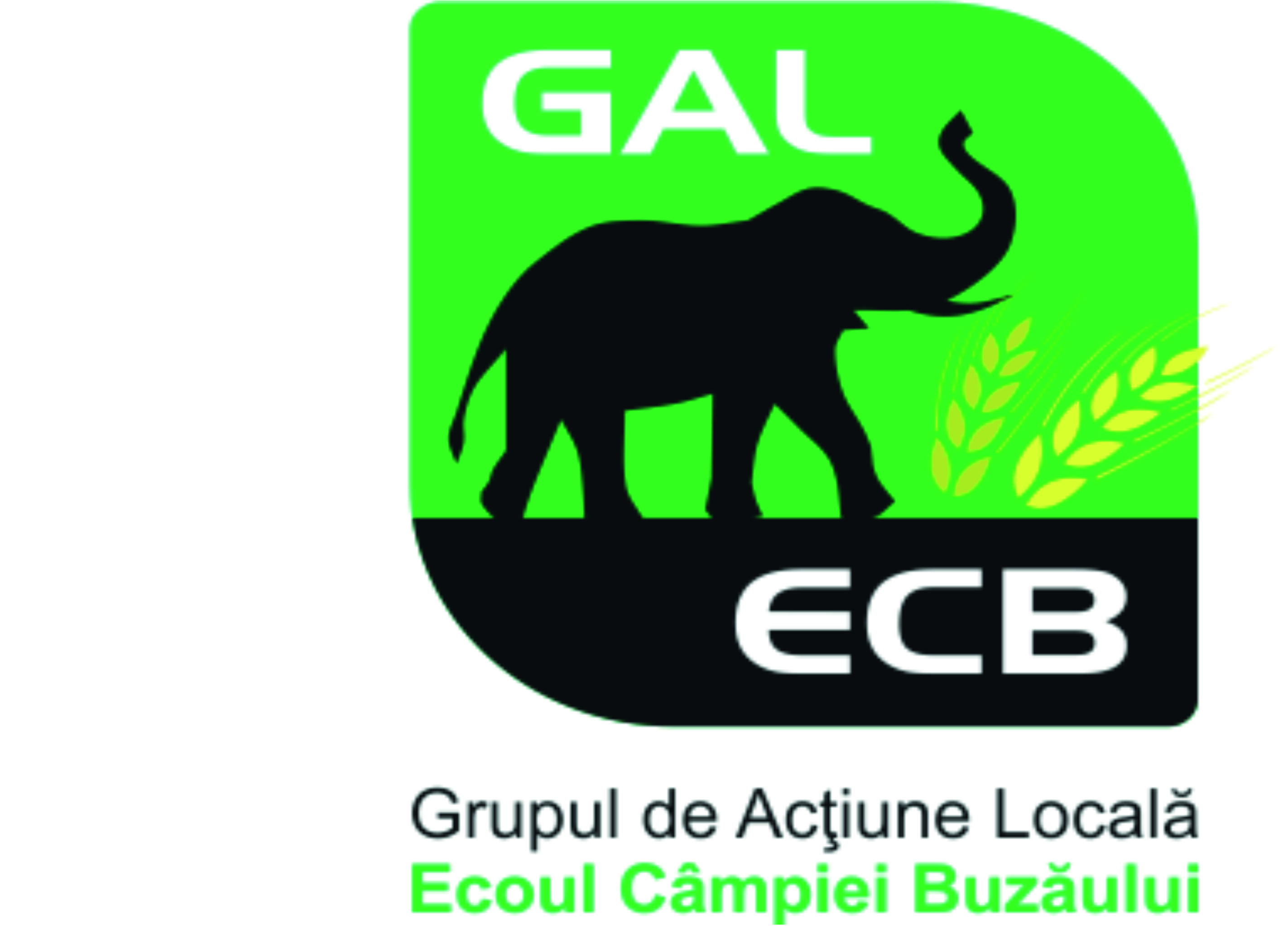sigla gal ecb